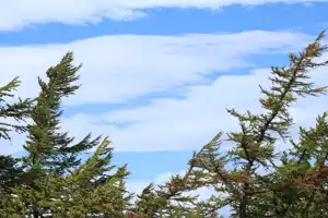 2025-10-00 Tokyo, Japan - Tokyo (63).webp